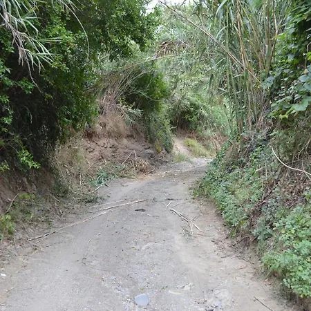 Casa Rural En Almayate Bajo * Almayate Bajo